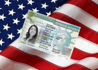 Что дает грин-карта США