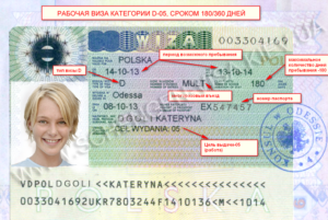 Категория D — долгосрочная виза для длительного нахождения в стране с правом выезда в другие государства на срок не более трёх месяцев каждые полгода