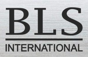 виза