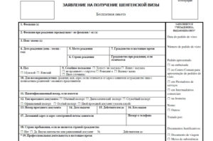анкету-заявление на получение визы