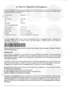 электронной визы в Сингапур