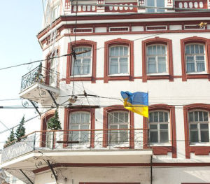 виза