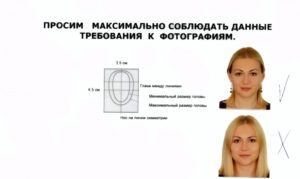 Требования к фото на шенгенскую визу