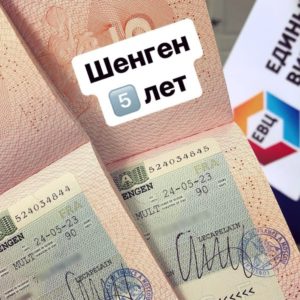 мультивиза_
