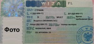 шенгенская виза Категория D