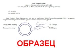 Справка с места работы для получения шенгенской визы 