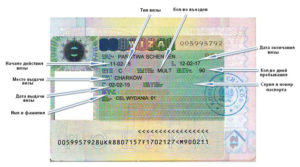типа визы в Польшу