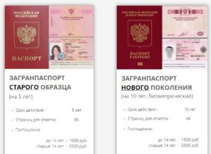 загранпаспорта нового образца