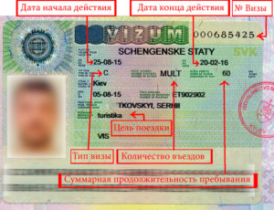 Виды шенгенских виз